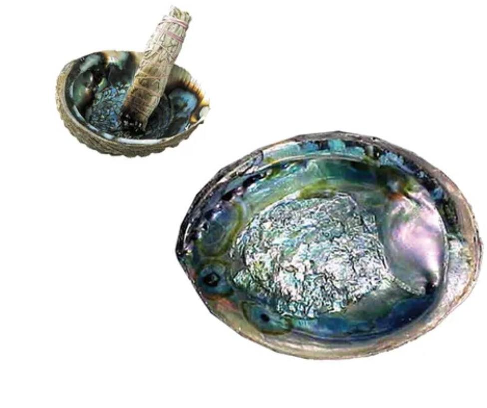 Green Abalone Shells Bowl For Smudging