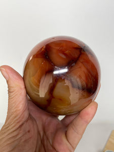 1 pc Carnelian Sphere w/ info card
