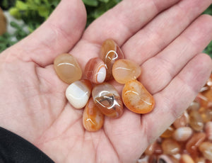 Banded Carnelian (1kg/2.2lbs.) Tumbled Stone 17-23mm