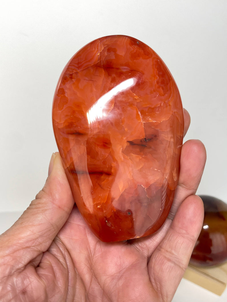 1 pc Carnelian Free Form w/ info card