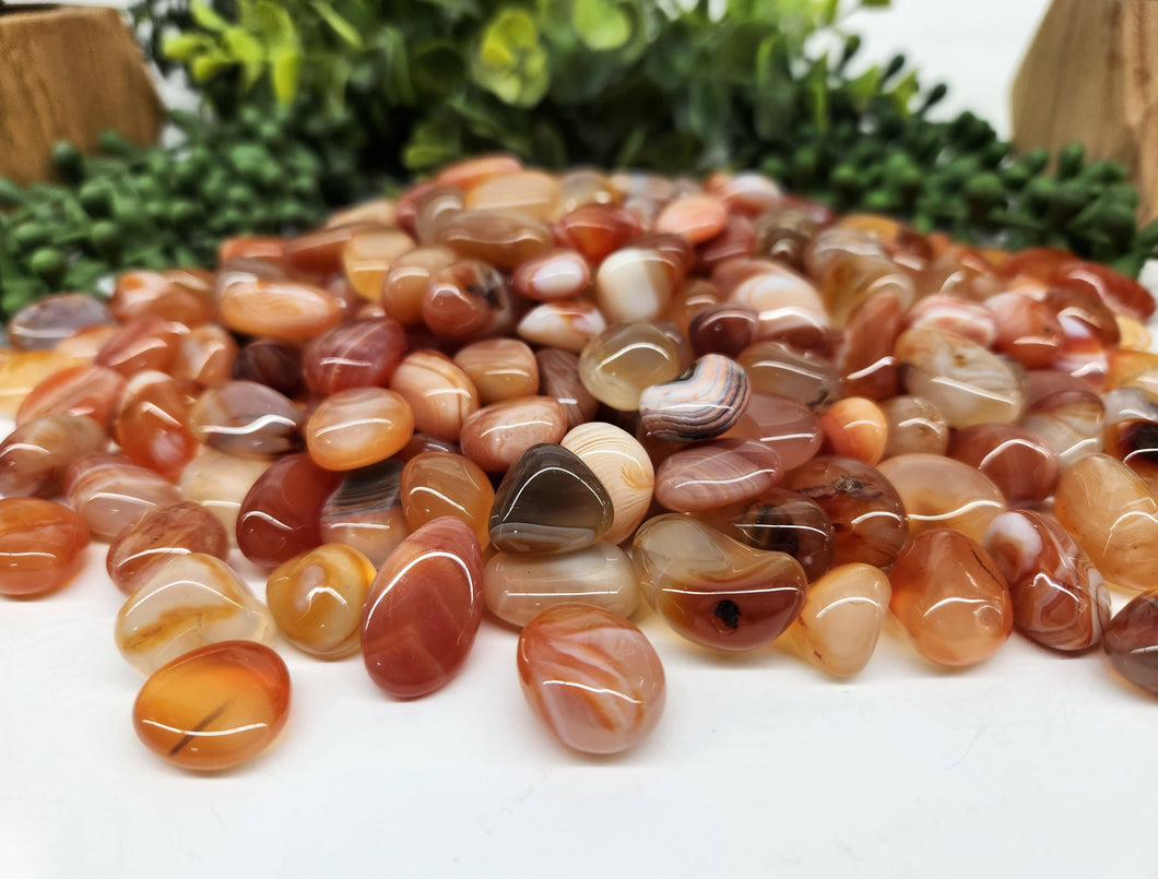Banded Carnelian (1kg/2.2lbs.) Tumbled Stone 17-23mm